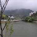 陰雨魚塘2010.9.24.jpg