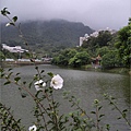 陰雨魚塘2010.9.24 .jpg