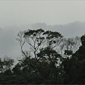 遠山煙雨2013.2.22.JPG