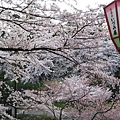 2009kanazawa 203.jpg