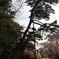 2009kanazawa 209.jpg