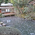 2009kanazawa 221.jpg