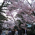 2009kanazawa 235.jpg