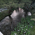 2009kanazawa 241.jpg