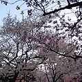 2009kanazawa 256.jpg