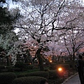 2009kanazawa 258.jpg