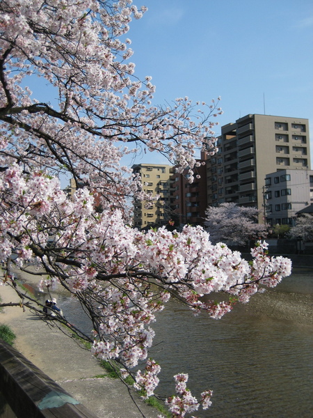 2009kanazawa 117.jpg