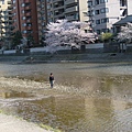 2009kanazawa 124.jpg