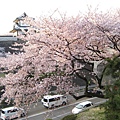 2009kanazawa 195.jpg