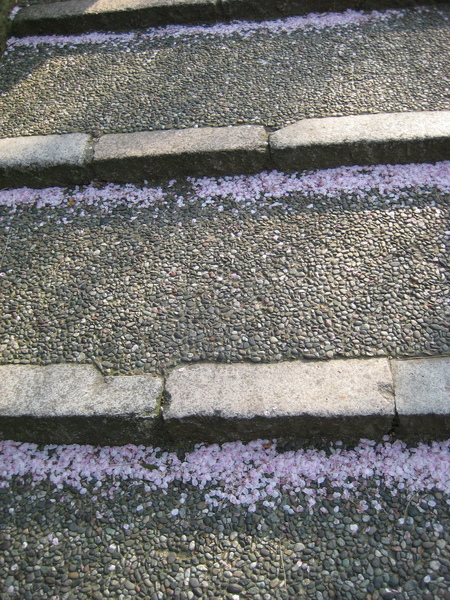 2009kanazawa 365.jpg