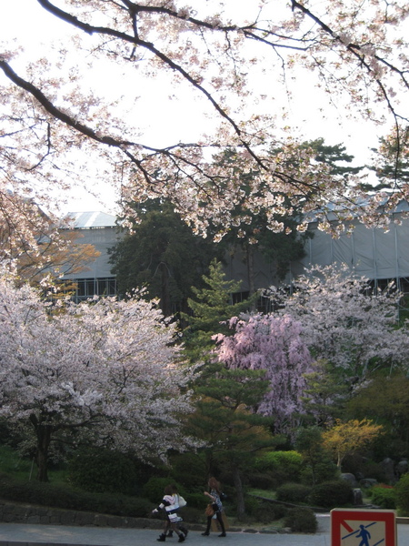 2009kanazawa 366.jpg