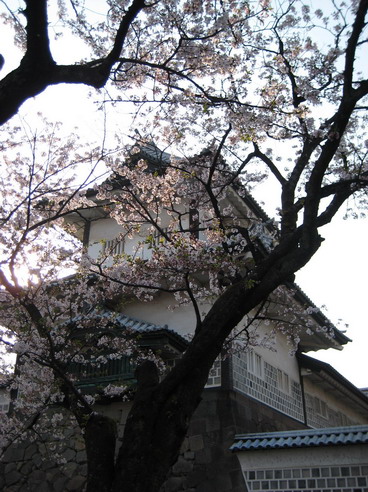 2009kanazawa 377.jpg
