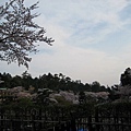 2009kanazawa 443.jpg