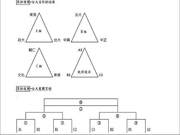 北歷盃男排_20140601_圖片_01.jpg