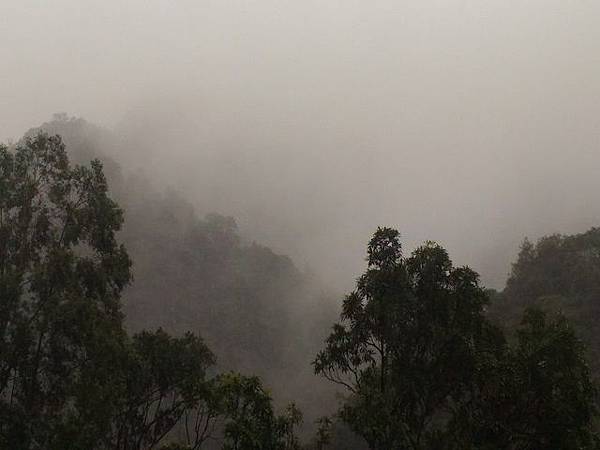 圖一/紫東社區.jpg 圖一/紫東社區.jpg