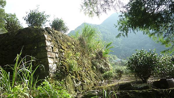 P1270373.JPG P1270373.JPG