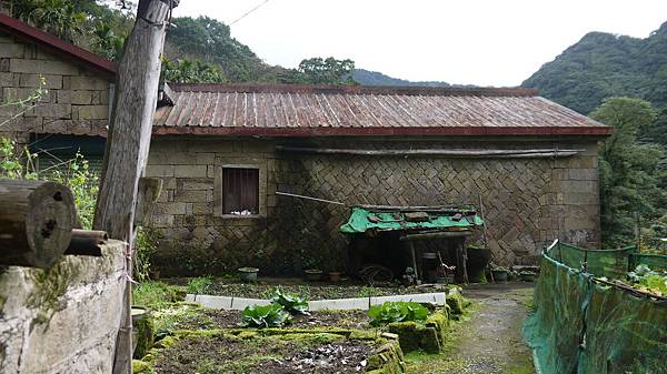 P1180453 P1180453