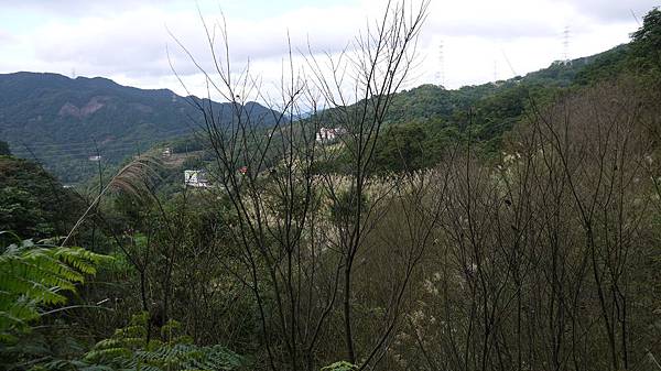 P1180486 P1180486