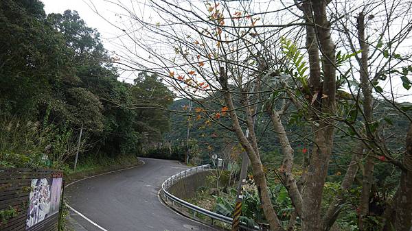 P1180537 P1180537