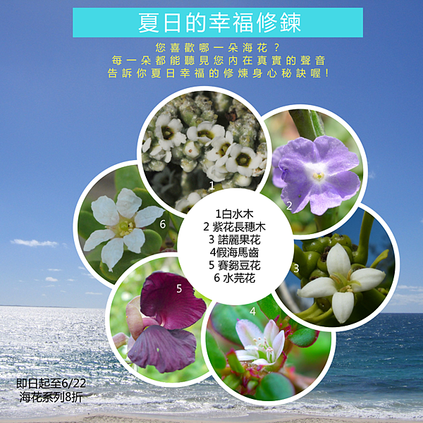 副本_六朵花看見肝臟情緒虛實_公众号正方形配图_2018.05.25 (1).png