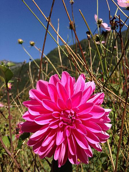 2013-09-29 15.28.33.jpg