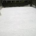 20100619024.jpg