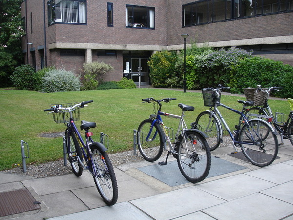 校園裡的腳踏車