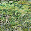 long grass with butterflies  Van Gogh.jpg