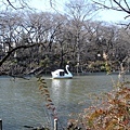 井之頭公園3