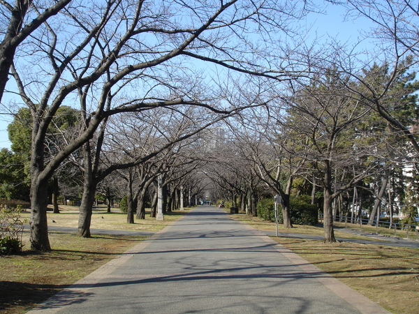 森綠道公園 森綠道公園