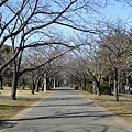 森綠道公園