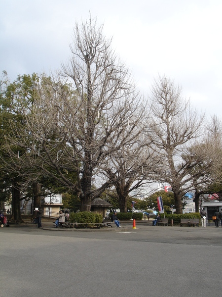 上野公園