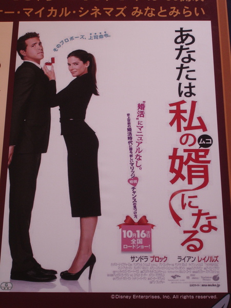 DSC06805.JPG DSC06805.JPG