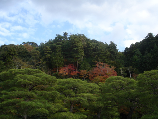 DSC07138.JPG DSC07138.JPG