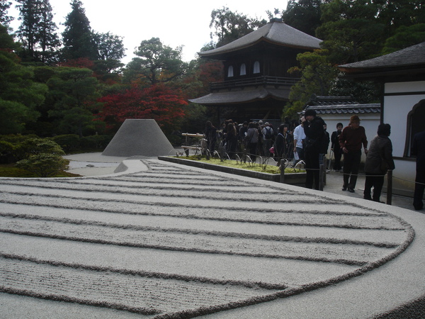 DSC07145.JPG DSC07145.JPG