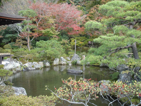 DSC07146.JPG DSC07146.JPG