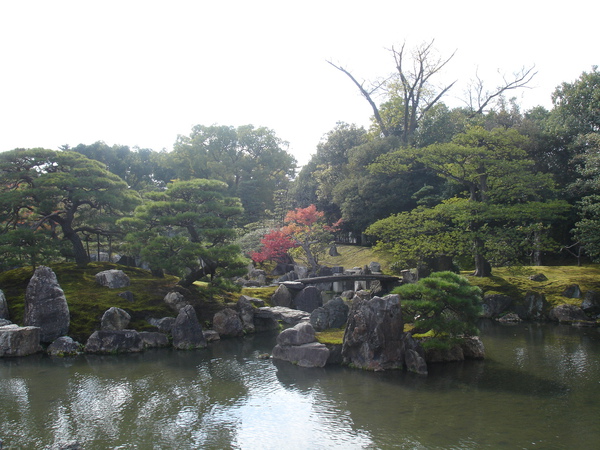 DSC07367.JPG DSC07367.JPG