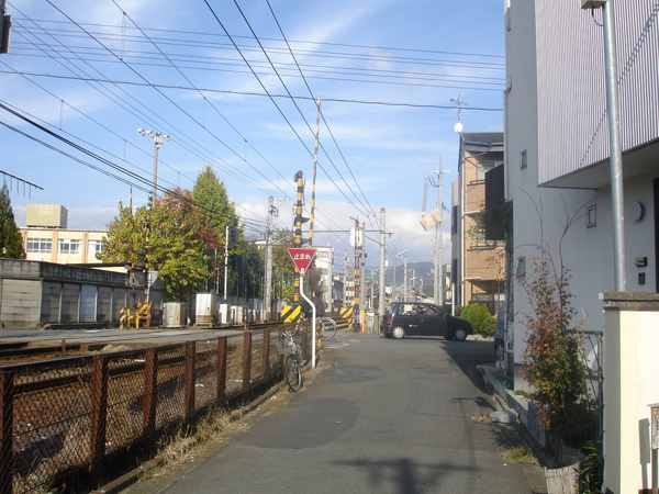 DSC07383.JPG DSC07383.JPG