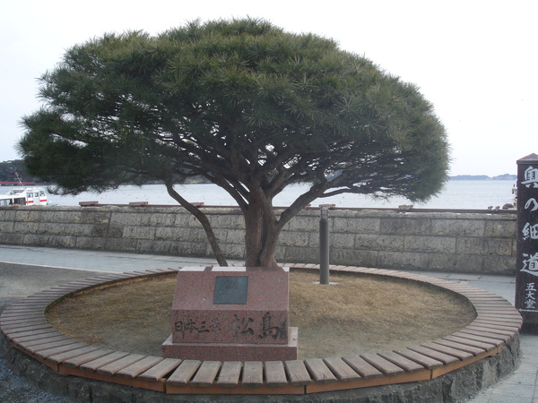 DSC08250.JPG DSC08250.JPG