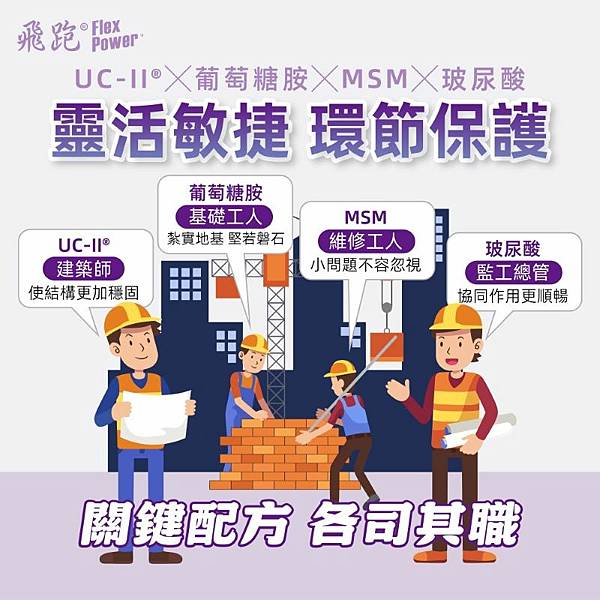 250314_衛教_關節保健4大成分800