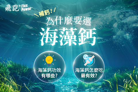 工作區域 6 工作區域 6