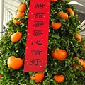 2010-02-19 香港行第二天 (80).JPG