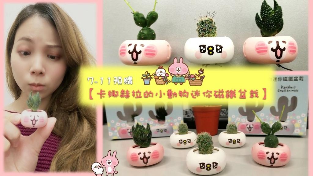 卡娜赫拉的小動物迷你磁鐵盆栽 封面.jpg