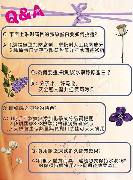 2 試用