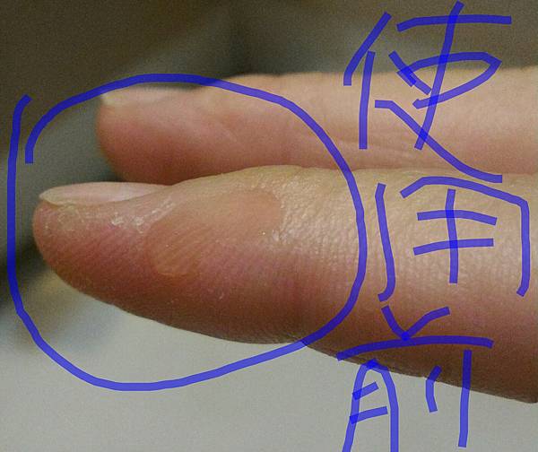 P_20161218_232126_1_1_1_1 試用