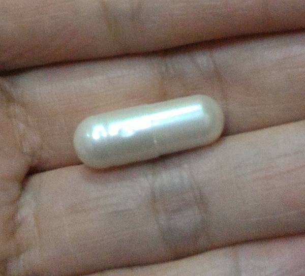 P_20170418_223347_1 試用