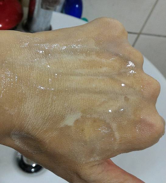 P_20170725_032010_1 試用