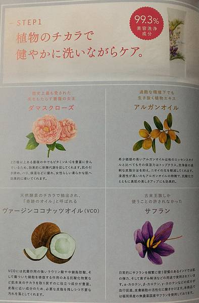 P_20170727_113859_1 試用