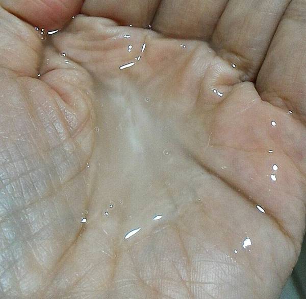 P_20181104_040526_1_LL_p_1