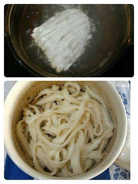 試用